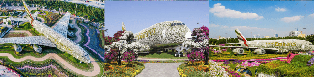Dubai Miracle Garden - EMIRATES A380
